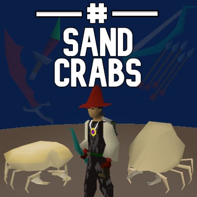 # Sand Crabs
