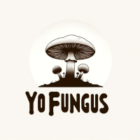 yoFungus