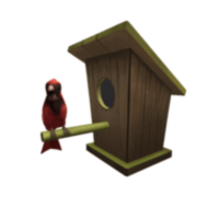 More information about "MaxBirdhouses Lifetime"