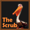 TheScrub